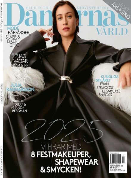Damernas Varld – 17 December 2024 Cover