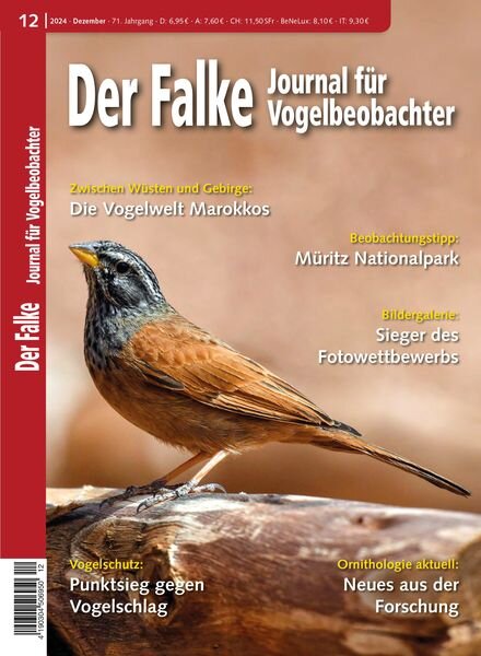 Der Falke Journal fur Vogelbeobachter – Dezember 2024 Cover