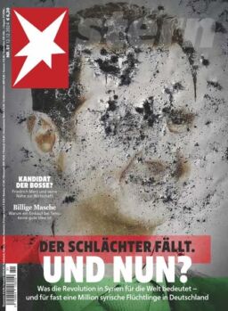 Der Stern – 12 Dezember 2024