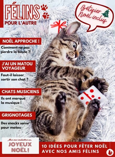 Felins pour l’autre – 30 Novembre 2024 Cover