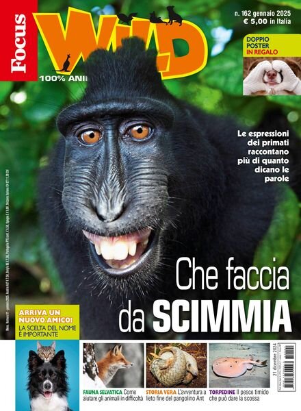 Focus Wild – Gennaio 2025 Cover