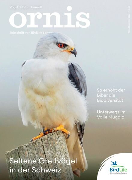 Ornis – Dezember 2024 Cover