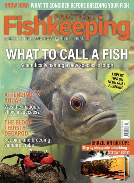 Practical Fishkeeping – December 2024 Cover