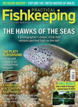 Practical Fishkeeping – January 2025