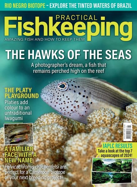 Practical Fishkeeping – January 2025 Cover