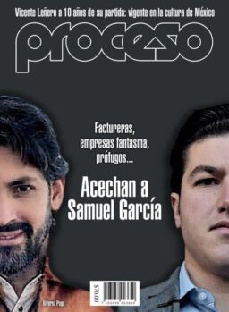 Proceso – Diciembre 2024