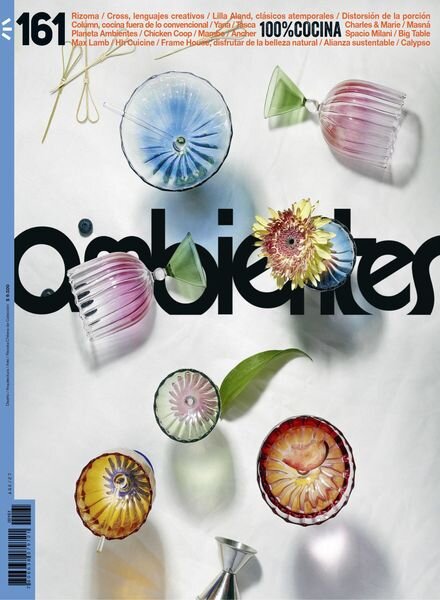 Revista Ambientes – 6 Noviembre 2024 Cover