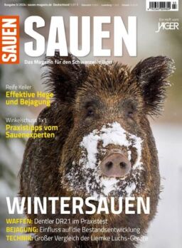 Sauen – Dezember 2024