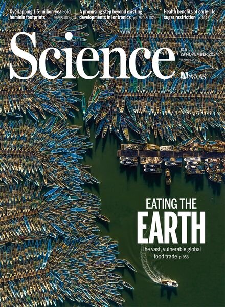 Science – 29 November 2024 Cover