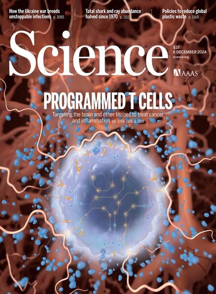 Science – 6 December 2024 Cover