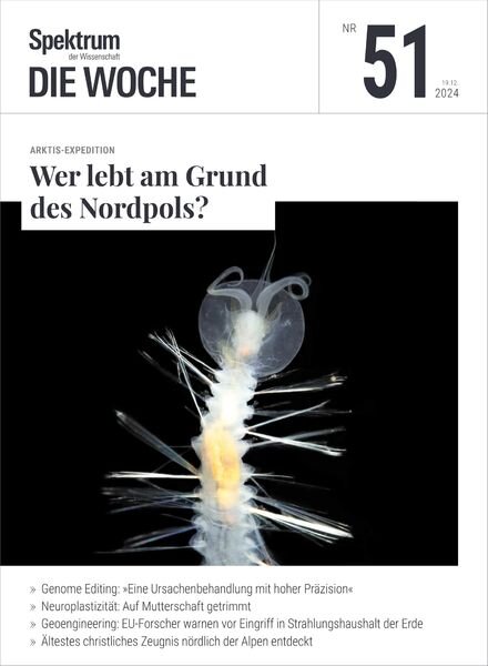 Spektrum Die Woche – 19 Dezember 2024 Cover
