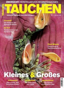 Tauchen – Januar 2025