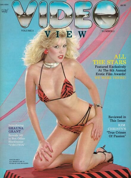 Video View – Volume 3 Number 3 1984 Cover