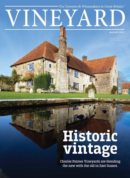 Vineyard – January 2025 Cover