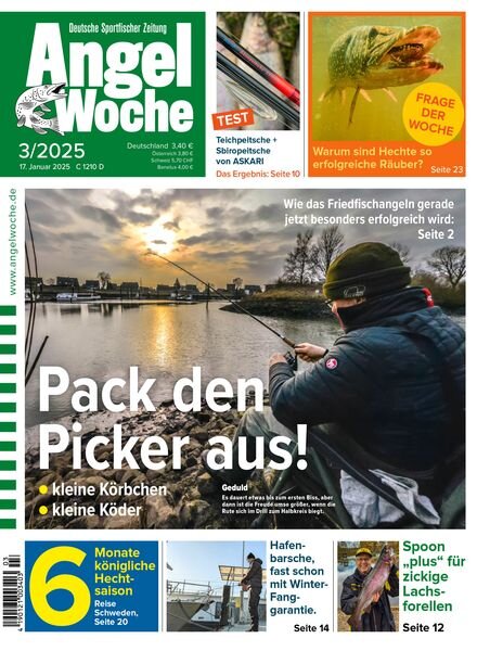 Angel Woche – 17 Januar 2025 Cover