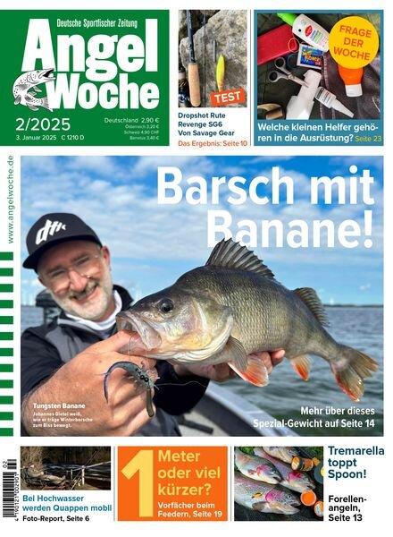 Angel Woche – 3 Januar 2025 Cover