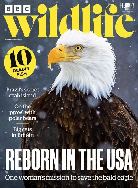 BBC Wildlife – February 2025 Cover