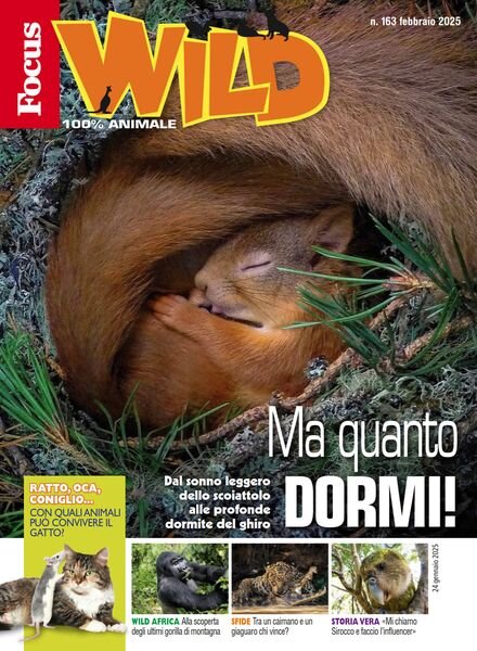 Focus Wild – Febbraio 2025 Cover
