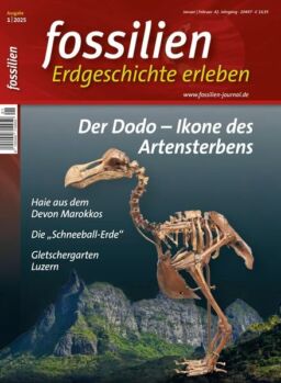 Fossilien – Januar 2025