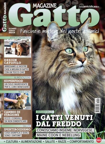 Gatto Magazine – Dicembre 2023 – Gennnaio 2024 Cover