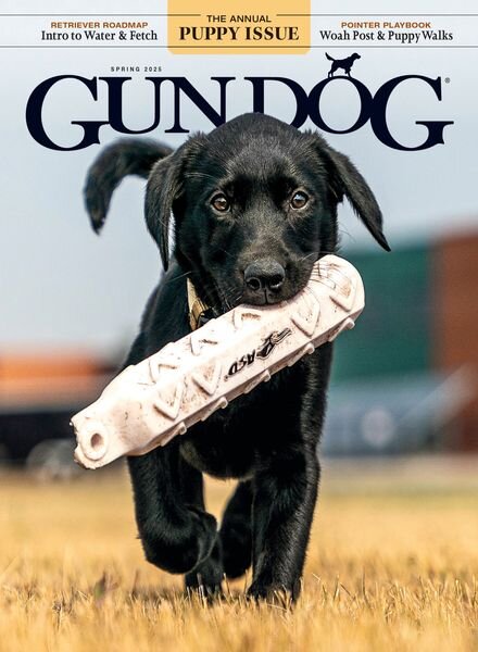 Gun Dog – March-April-May 2025 Cover