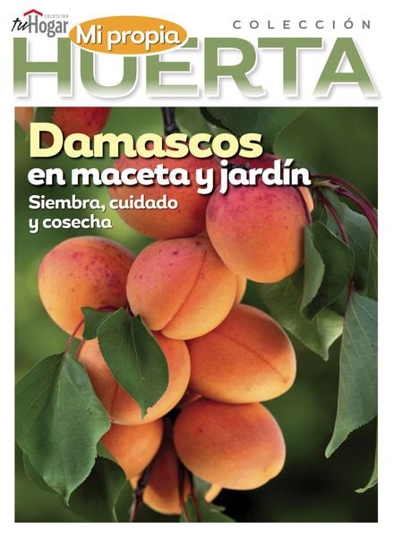 La Huerta en Casa – Enero 2025 Cover