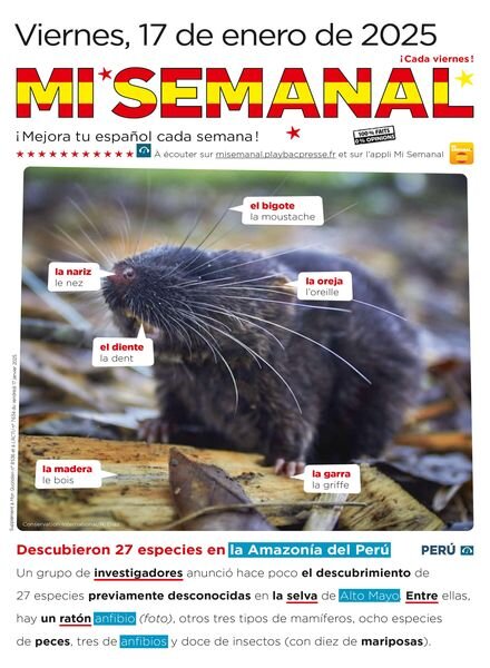 Mi Semanal – 17 Enero 2025 Cover