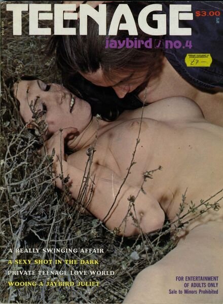 Teenage Jaybird – N 4 February-March-April 1970 Cover