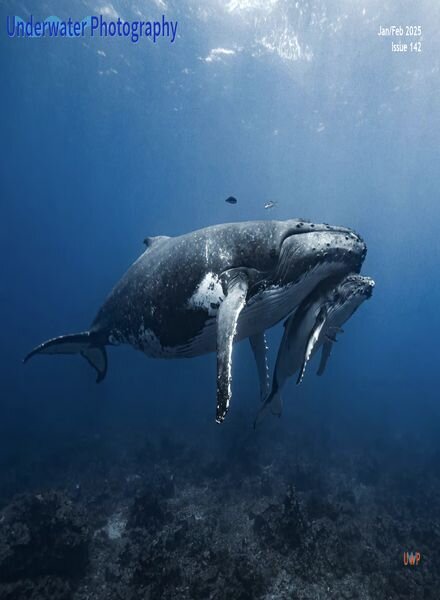 Underwater Photography – January-February 2025 Cover