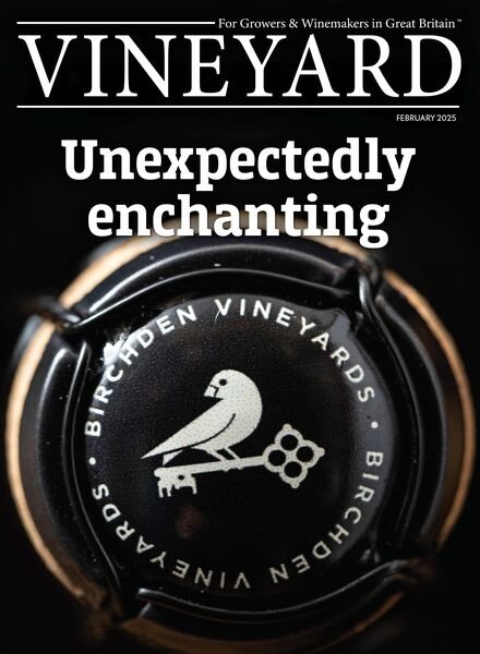 Vineyard – February 2025 Cover