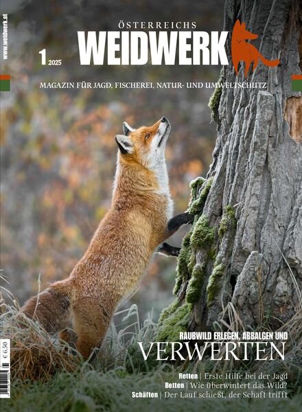 Weidwerk – Januar 2025 Cover