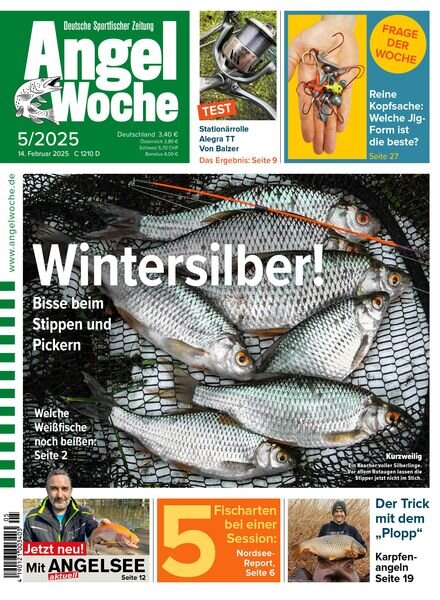 Angel Woche – 14 Februar 2025 Cover