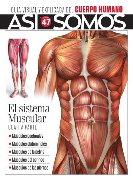 Asi Somos El cuerpo humano – Febrero 2025 Cover