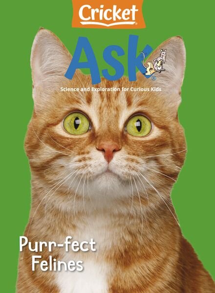 Ask – February 2025 Cover