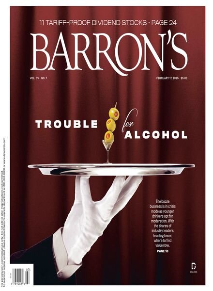 Barron’s – February 17 2025 Cover