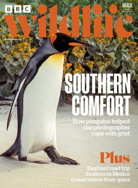 BBC Wildlife – March 2025 Cover