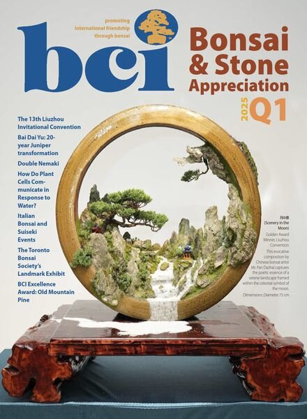 BCI Bonsai & Stone Appreciation Magazine – Volume 64 Number 1 2025 Cover
