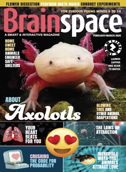Brainspace – February-March 2025 Cover
