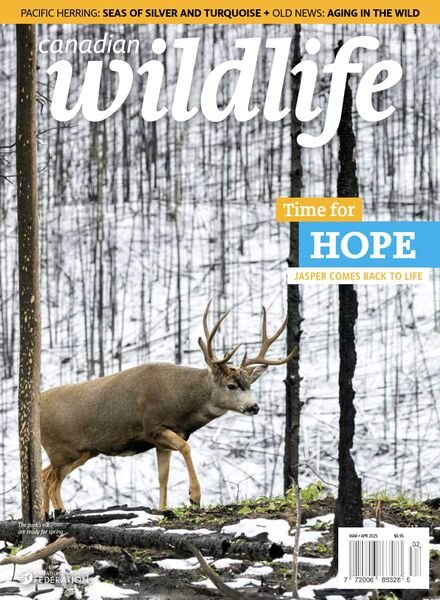 Canadian Wildlife – March-April 2025 Cover