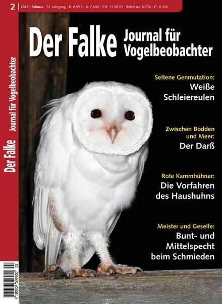 Der Falke Journal fur Vogelbeobachter – Februar 2025 Cover