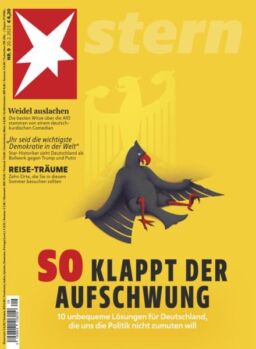 Der Stern – 19 Februar 2025