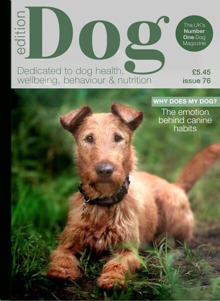 Edition Dog – Issue 76 2025 Cover