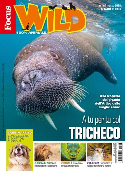 Focus Wild – Marzo 2025 Cover