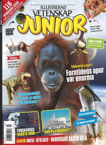 Illustrerad Vetenskap Junior – 11 Februari 2025 Cover