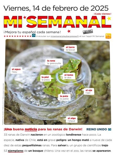 Mi Semanal – 14 Febrero 2025 Cover