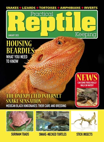 Practical Reptile Keeping – January 2025 Cover