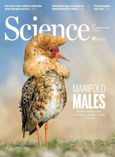 Science – 24 January 2025 Cover