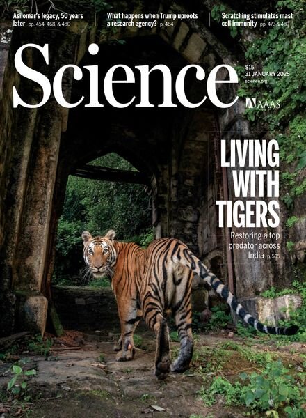 Science – 31 January 2025 Cover