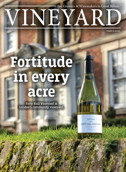 Vineyard – March 2025 Cover