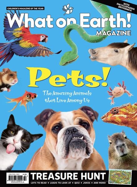 What on Earth! Magazine – February 2025 Cover